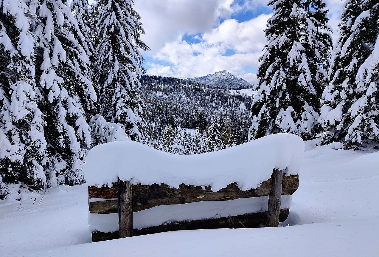 Viaggi di Gruppo Dolomites snow fun